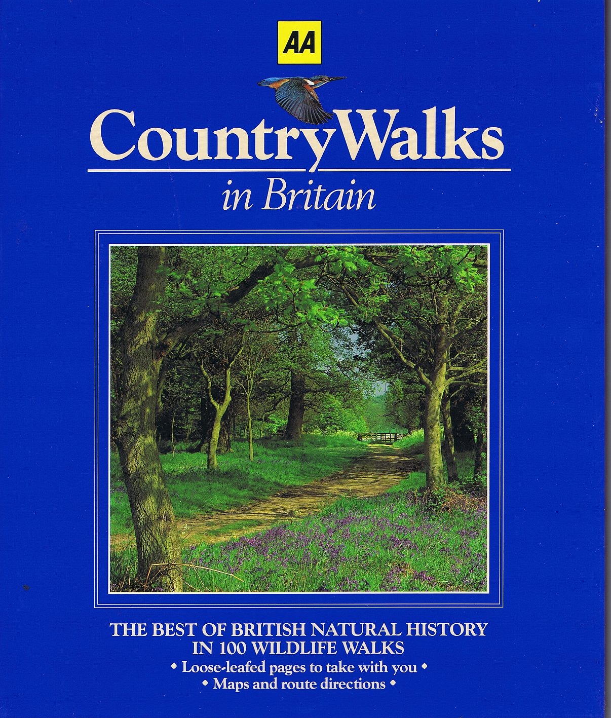 Country Walks in Britain (Ring-bound)
