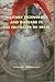 Military Technology and Warfare in the Sultanate of Delhi by M. Athar Ali