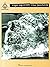RAGE AGAINST THE MACHINE WITH NOTES AND TABLATURE by Rage Against The Machine (1994) Paperback