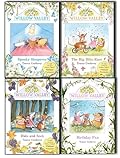 Willow Valley 4 Books Collection