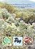 Cultivation and Diseases of...