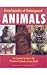 Encyclopedia of Endangered Animals: An Essential Guide to the Threatened Species of Our World