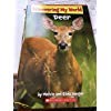 Deer (Hardcover)