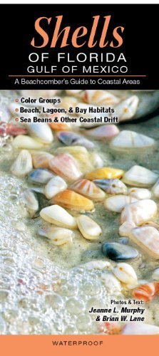 Shells of Florida-Gulf of Mexico: A Beachcomber's Guide to Coastal Areas by Jeanne L. Murphy and Brian W. Lane (April 1, 2012) Pamphlet pamphlet