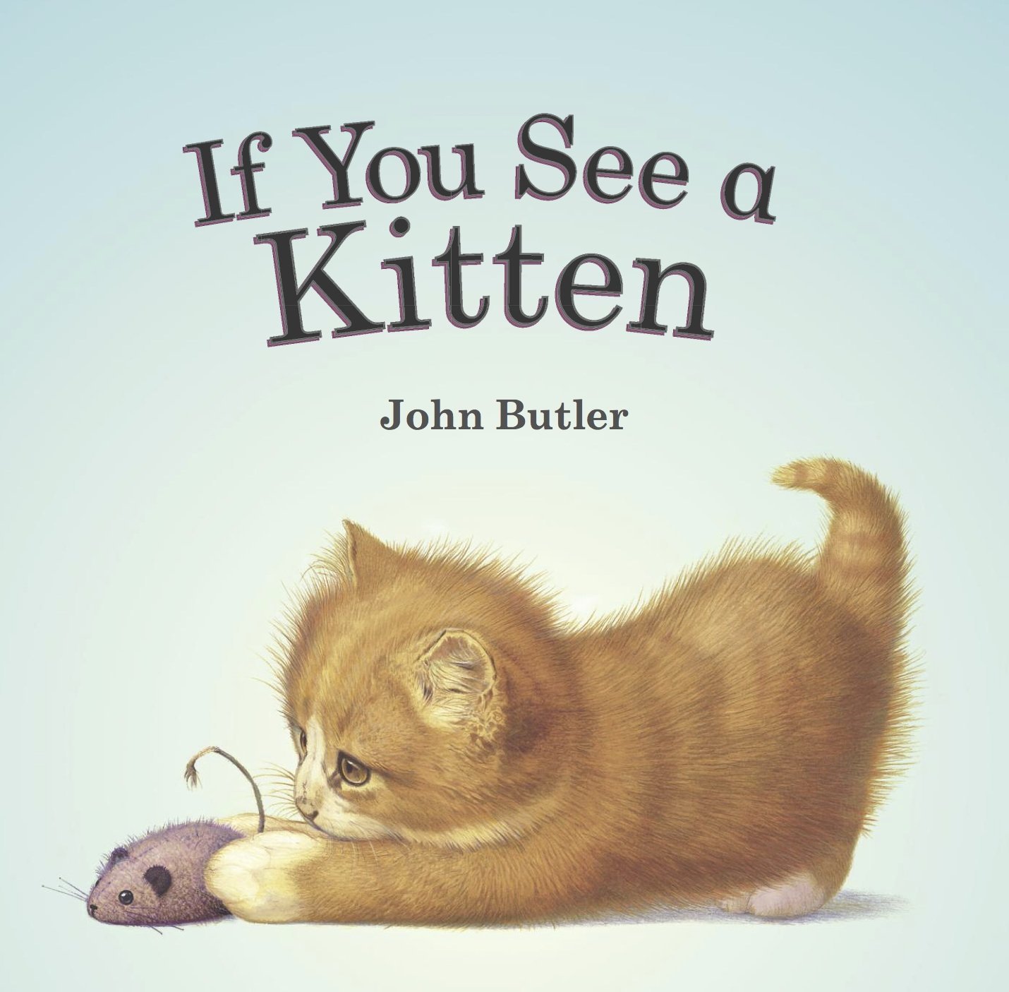 If You See a Kitten by John Butler (1-Mar-2015) Paperback