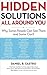 Hidden Solutions All Around You: Why Some People Can See Them and Some Can't 1st edition by Daniel R. Castro (2015) Paperback
