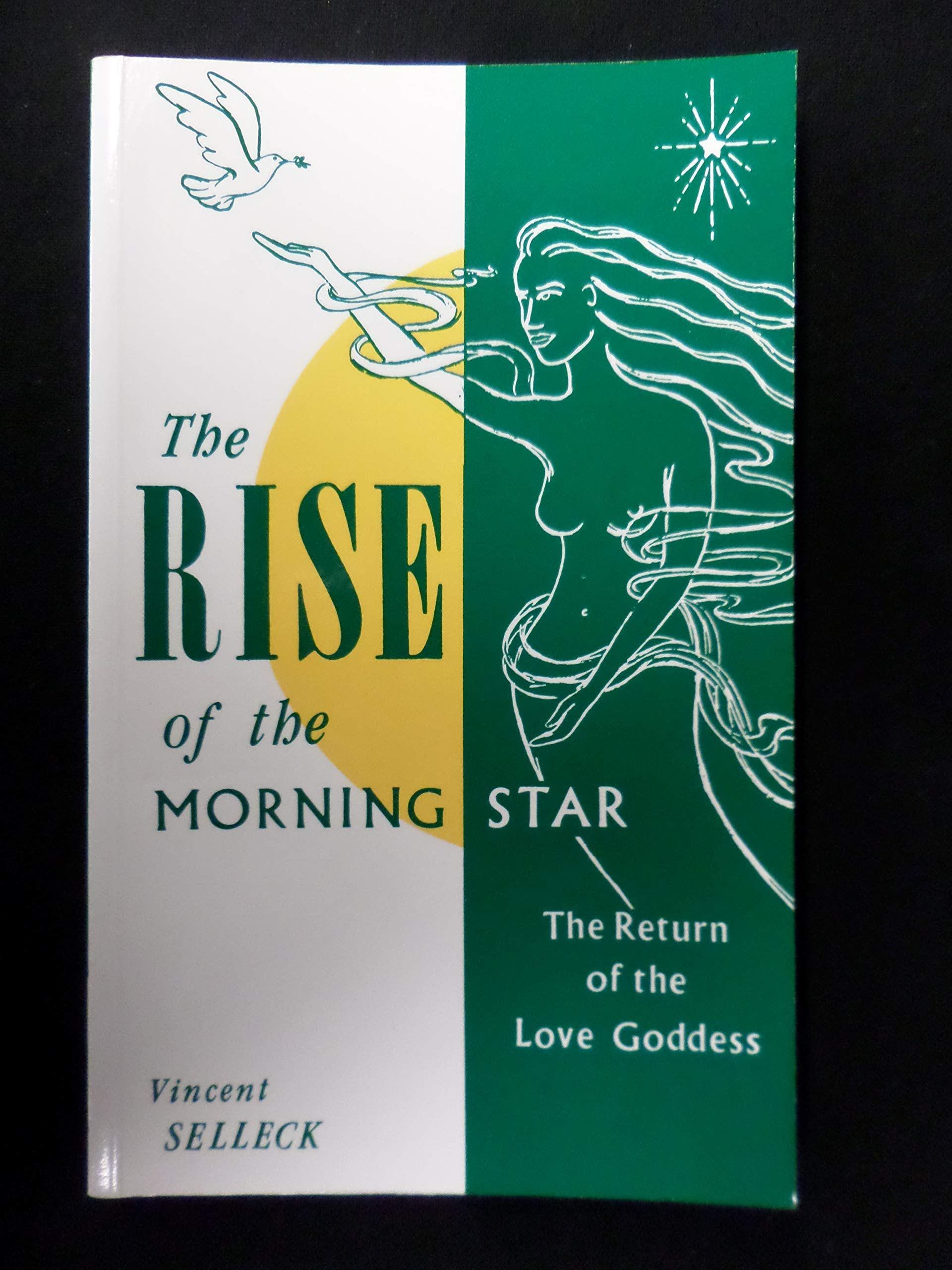 The Rise of the Morning Star (Paperback)