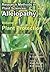 Research Methods in Plant Sciences Allelopathy: v. 1-3