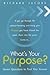 What's Your Purpose?: Seven Questions to Find Your Answer by Richard Jacobs (12-Apr-2004) Paperback