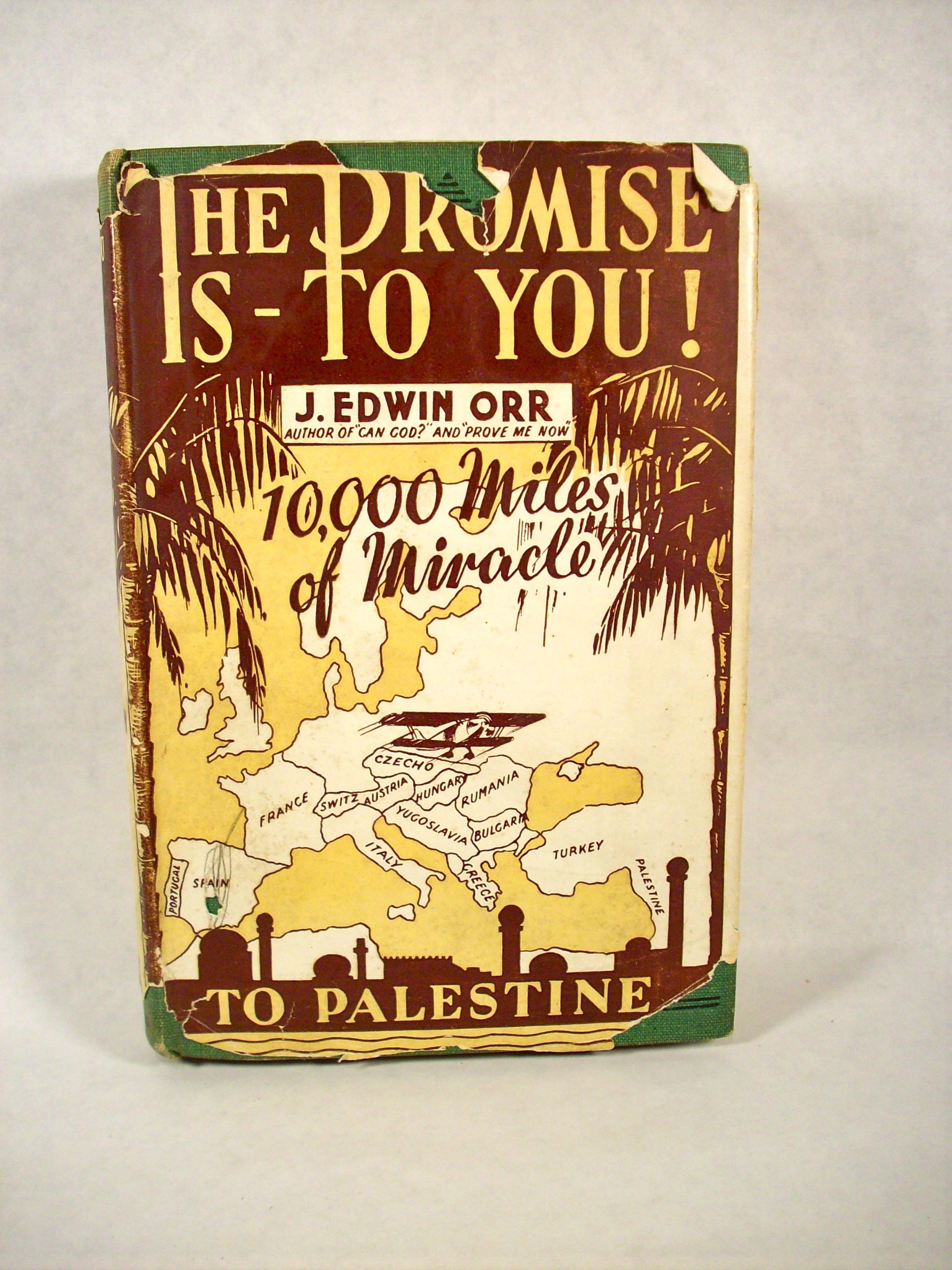 The Promise Is to You: 10,000 Miles of Miracle -- to Palestine (Hardcover)