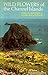 Wild Flowers of the Channel Islands by John Bichard (1975-07-10)