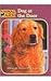Dog at the Door (Animal Ark (Pb))