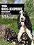 The Dog Expert (Pet Experts) by Karen Bush ( 2010 ) Paperback