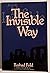 The Invisible Way : A Sufi Love Story