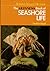 The Guinness book of seashore life (Britain's natural heritage)
