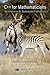 C++ for Mathematicians: An Introduction for Students and Professionals Pap/Cdr Edition by Edward Scheinerman published by CRC Press (2006)