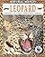Leopard (Natural World) by Bill Jordan (2001-11-15)