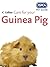 Care for your Guinea Pig (R...