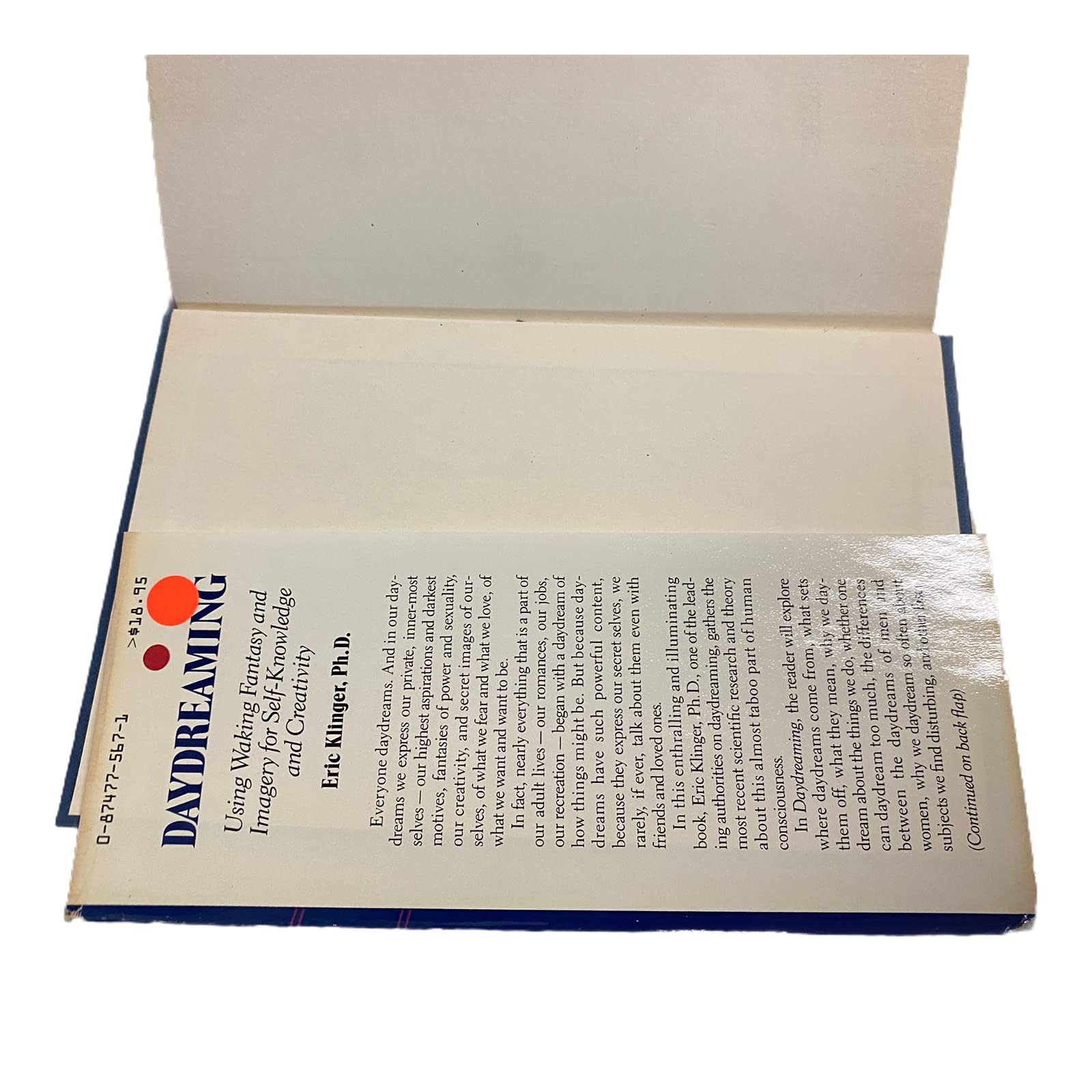 Daydreaming (Paperback)