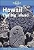 Lonely Planet Hawaii: The Big Island by Conner Gorry (2002-09-03)