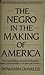 The Negro in the Making of America