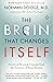 The Brain That Changes Itse...