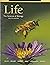 Life The Science of Biology | 12th
