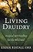 Living Druidry: Magical spirituality for the wild soul by Orr, Emma Restall (2004)