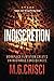 Indiscretion: Workplace Flirtation Creates Unimaginable Consequences (Powerful Women)