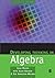 Developing Thinking in Algebra (Published in association with The Open University) by Mason, John, Graham, Alan, Johnston-Wilder, Sue (2005) Paperback
