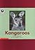 Kangaroos