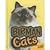 Birman Cats
