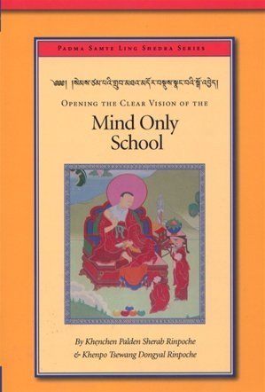 Opening the Clear Vision of the Mind Only School (Padma Samye Ling Shedra Series, 2)