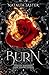 Burn (Dark Seasons: Foolish Kingdoms)