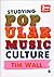 Studying Popular Music Cult...