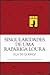 Singularidades de uma Rapariga Loura