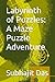 Labyrinth of Puzzles: A Maz...