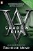 Vampire Academy by Richelle Mead