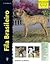 Fila Brasileiro / Brazilian Mastiff (Excellence: Raza Especial / Special Breed) (Spanish Edition) by Yvette Uroshevich (2000-06-30)