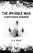 The Invisible Man: A Grotesque Romance: 19th Century Literary Classic (Annotated)