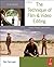 The Technique of Film and Video Editing: History, Theory, and Practice by Ken Dancyger(2010-11-12)