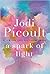 A Spark of Light by Jodi Picoult