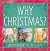 Why Christmas? by Barbara Reaoch (2012) Perfect Paperback