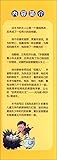The world's great growth Biography series: the world of light the messenger: Edison Biography(Chinese Edition)