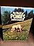World of Ponies by Judith  Campbell