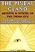 The Pineal Gland: Secrets &...