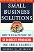 Small Business Solutions How to Fix & Prevent the Thirteen Bi... by Robert Hisrich