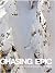 Chasing Epic: The Snowboard...