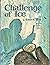 CHALLENGE of ICE Real Life Stories of Polar Explorers ROBERT N WEBB Whitman 1963 [Hardcover] Robert N Webb