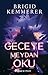 Geceye Meydan Oku (Defy the Night, #1)